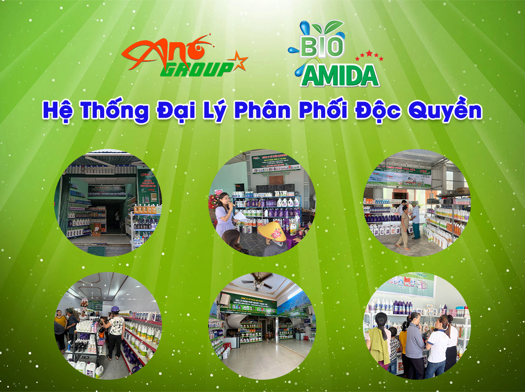 antgroup-dai-ly-phan-phoi